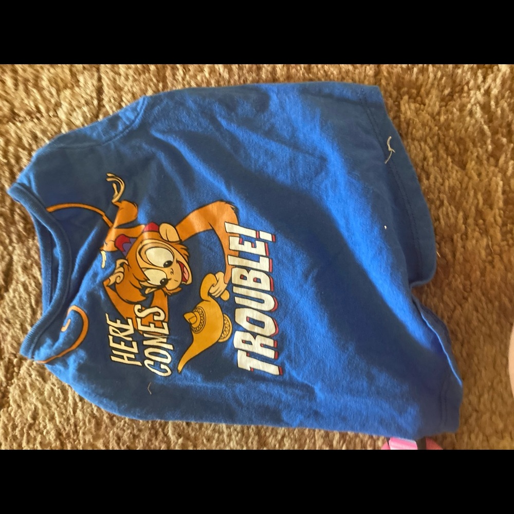 Disney dog shirt
